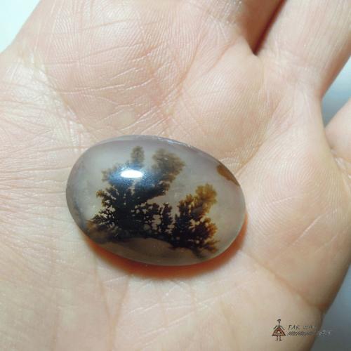 Transparent Oval Scenic Dendritic Agate agate farwayart2