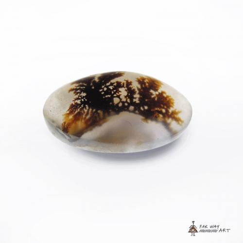 Transparent Oval Scenic Dendritic Agate agate farwayart4