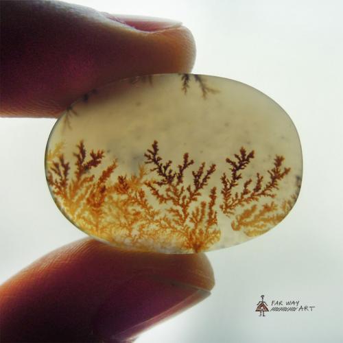 Rare-quality Scenic Dendritic Agate