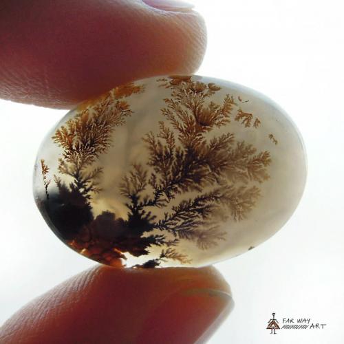 Scenic Dendritic Agate Gemstone
