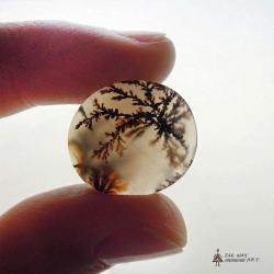 Scenic Dendritic Agate